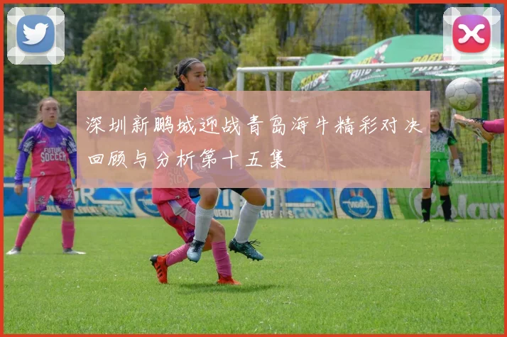 深圳新鹏城迎战青岛海牛精彩对决回顾与分析第十五集