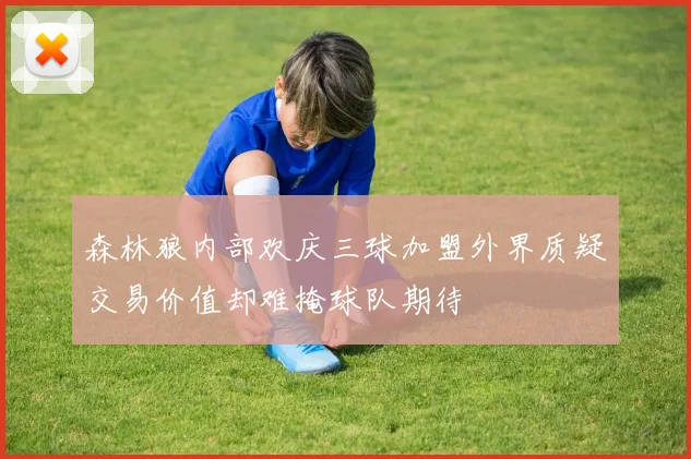 森林狼内部欢庆三球加盟外界质疑交易价值却难掩球队期待